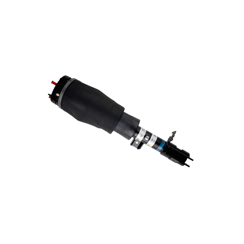 Air Suspension Strut - 45-260230